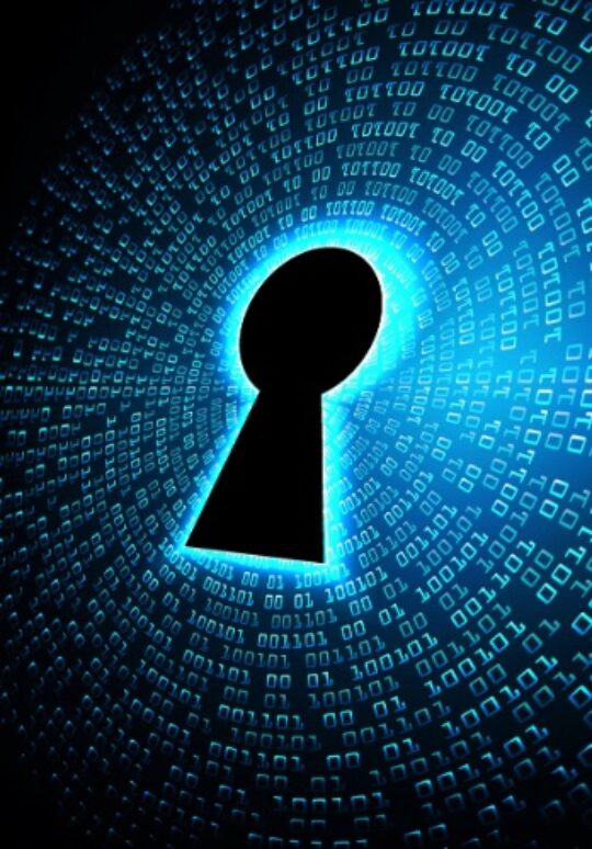 The Unseen Heroes: Why Website Security and Maintenance Are Non-Negotiable