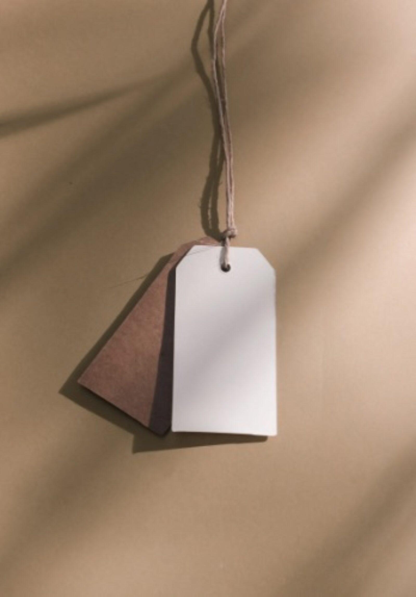 Beyond the Price Tag: The True Value of Professional Website Design for Small Businesses