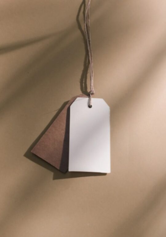 Beyond the Price Tag: The True Value of Professional Website Design for Small Businesses